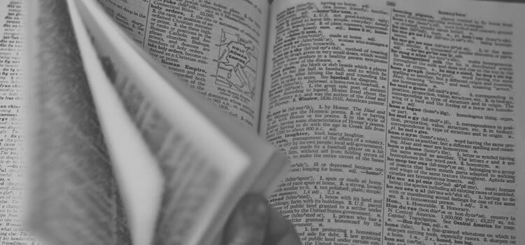 Indoor Skydiving Glossary & Terminology