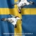 2018 1st Swedish Indoor Wingsuit Nationals Flyer
